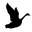 logo of Wild Goose Coffee Roasters