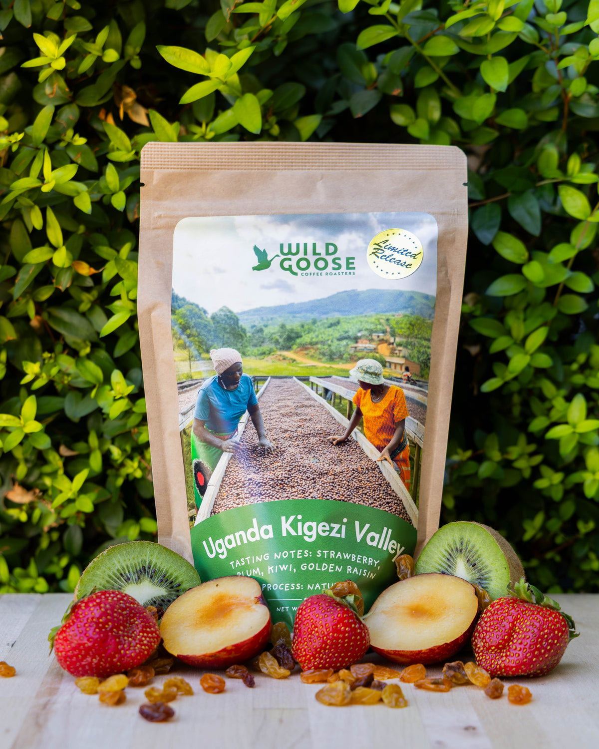 Uganda Kigenzi Valley **Special Release Presale** (Roast Date Oct. 15)
