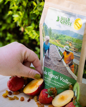 Uganda Kigenzi Valley **Special Release Presale** (Roast Date Oct. 15)