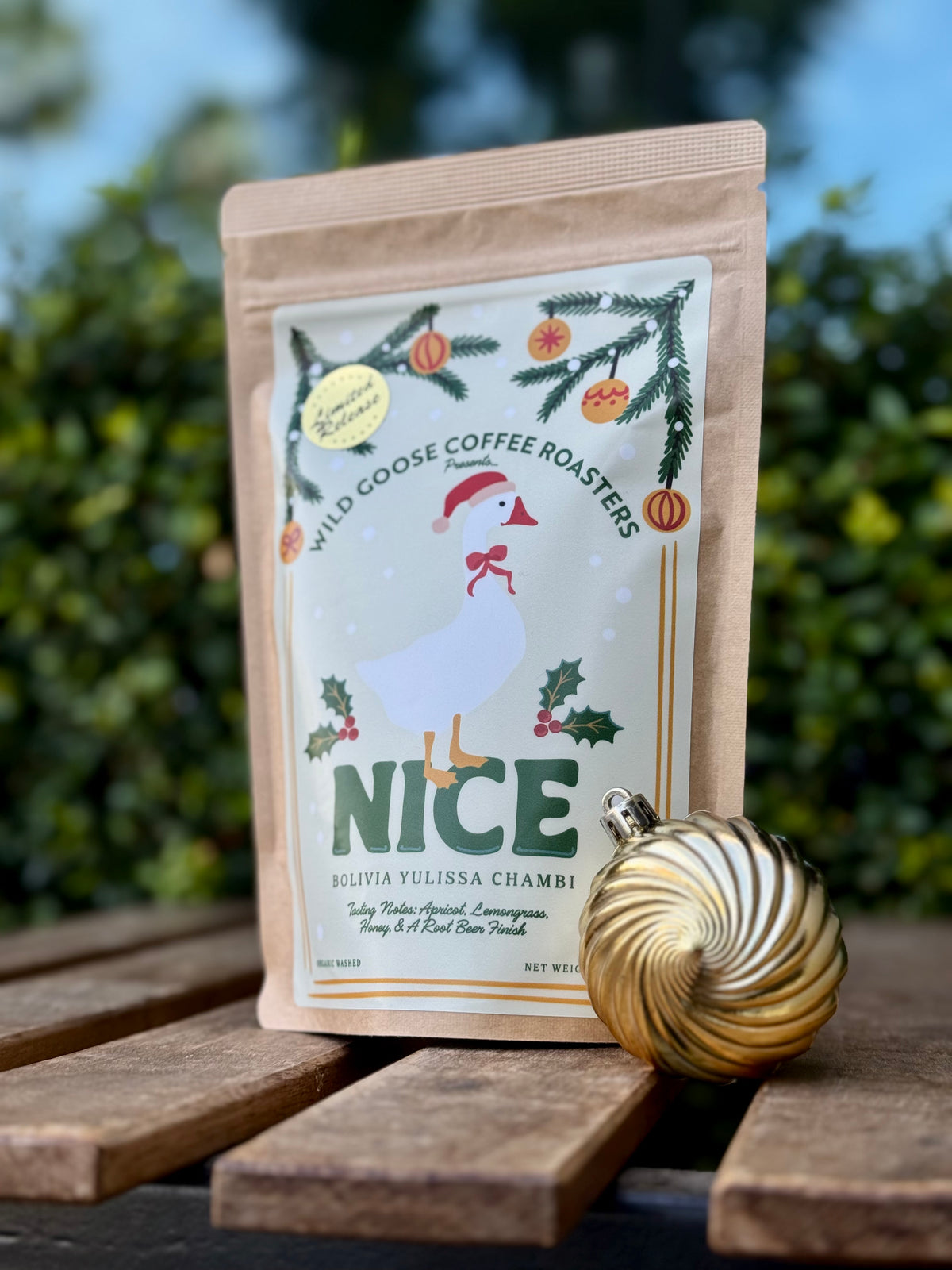 Bolivia Yulissa Chambi  *Special Release*