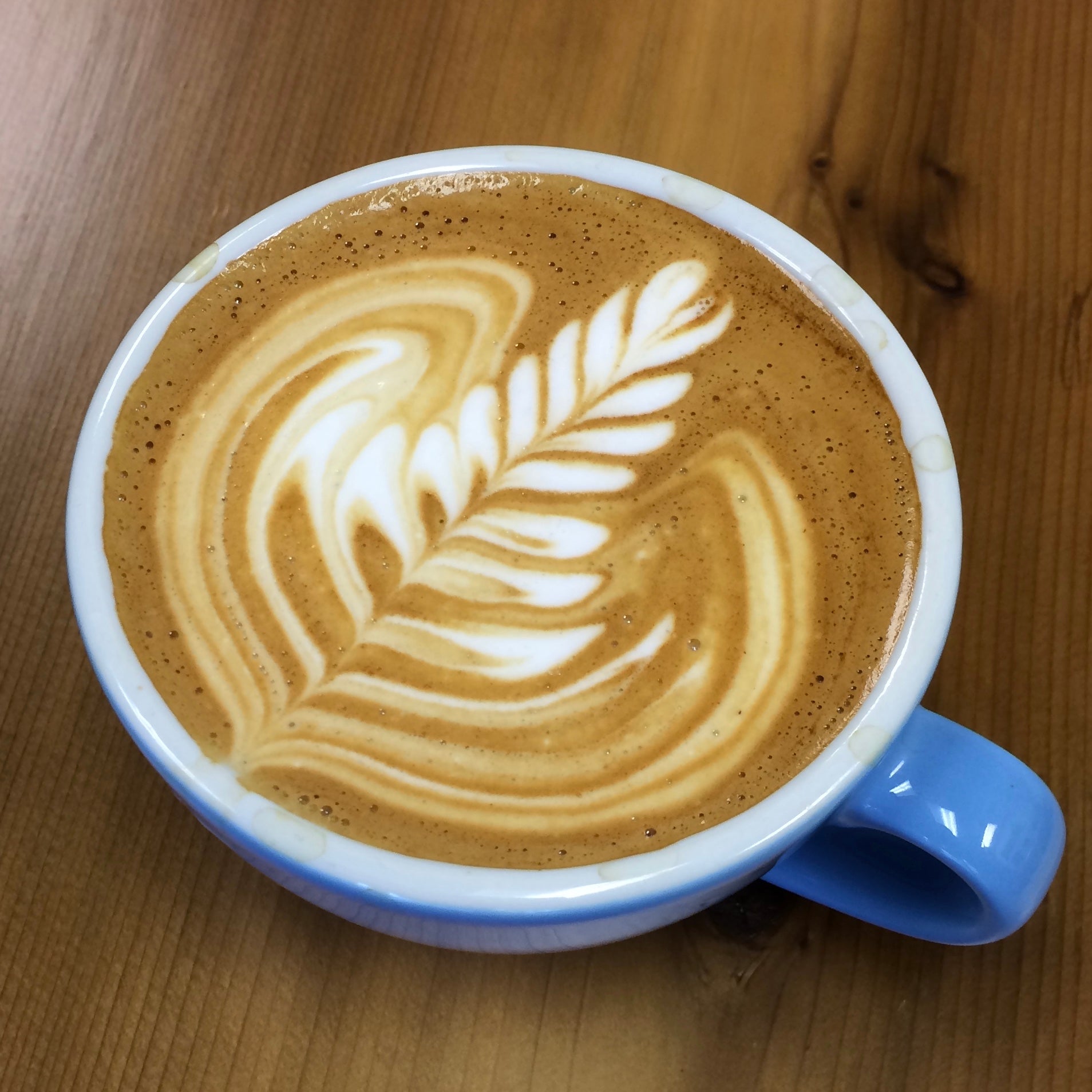 Latte Art Basics – Wild Goose Coffee Roasters